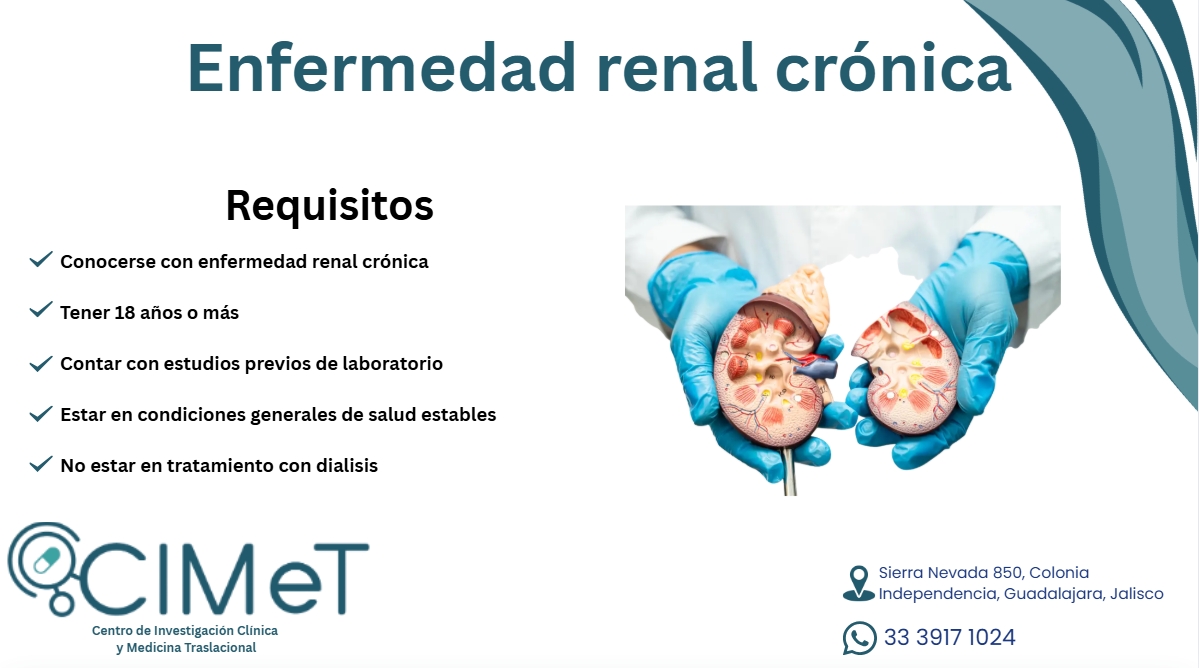 Captura de pantalla_9-12-2025_122551_www.canva.com