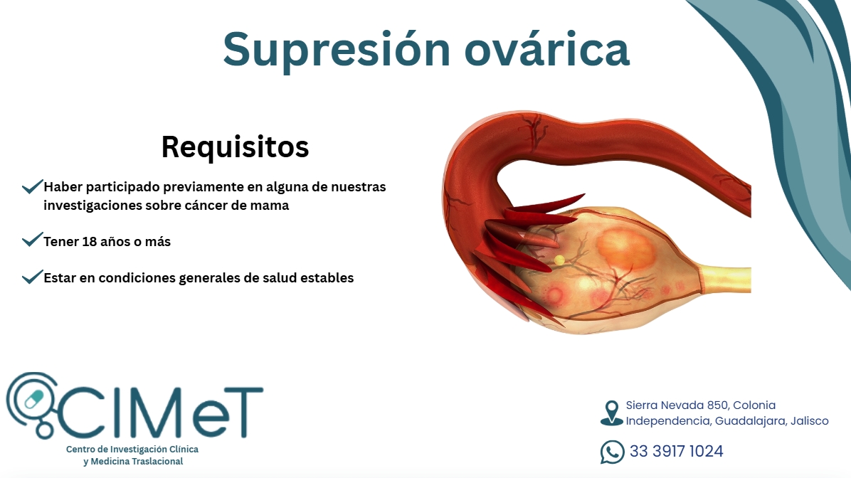 Captura de pantalla_9-12-2025_122627_www.canva.com