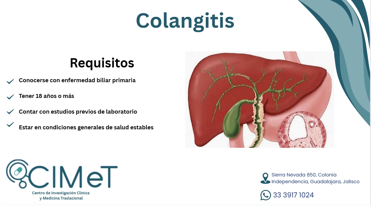 Captura de pantalla_9-12-2025_12263_www.canva.com