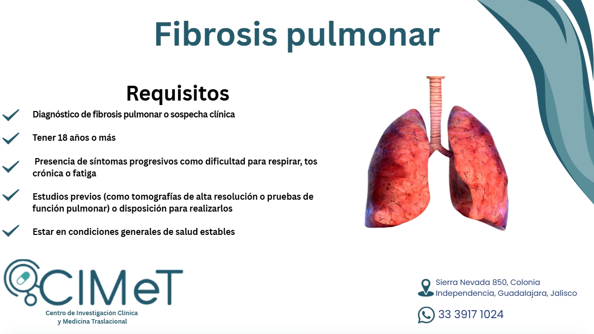 Captura de pantalla_9-12-2025_122651_www.canva.com