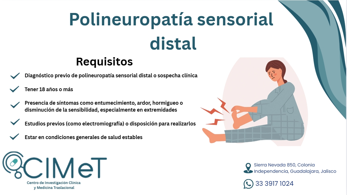 Captura de pantalla_9-12-2025_12275_www.canva.com